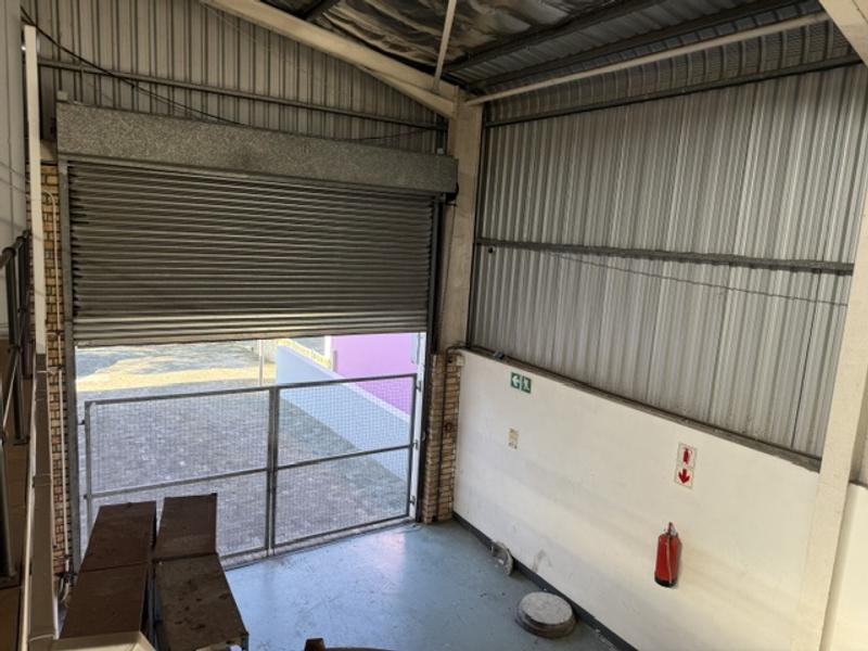 To Let Commercial Property for Rent in Newton Park Eastern Cape